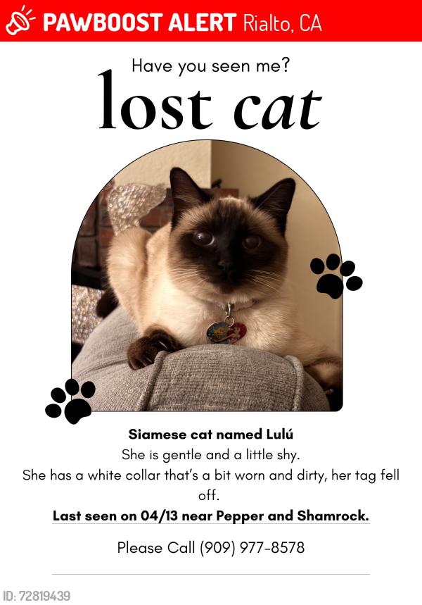 Lost Female Cat last seen Eucalyptus St , Rialto, CA 92376