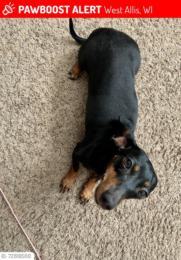 Lost Female Dog last seen Greenfield and lapham, West Allis, WI 53214