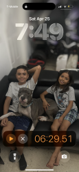 Lost Female Dog last seen Near sw 9th pl davie fl, Alachua County, FL 32607