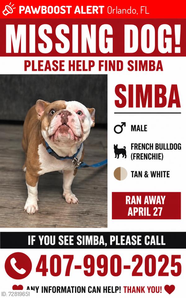 Lost Male Dog last seen Near Hiawassee landing, Orlando, FL 32818
