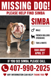 Lost Male Dog last seen Near Hiawassee landing , Orlando, FL 32818