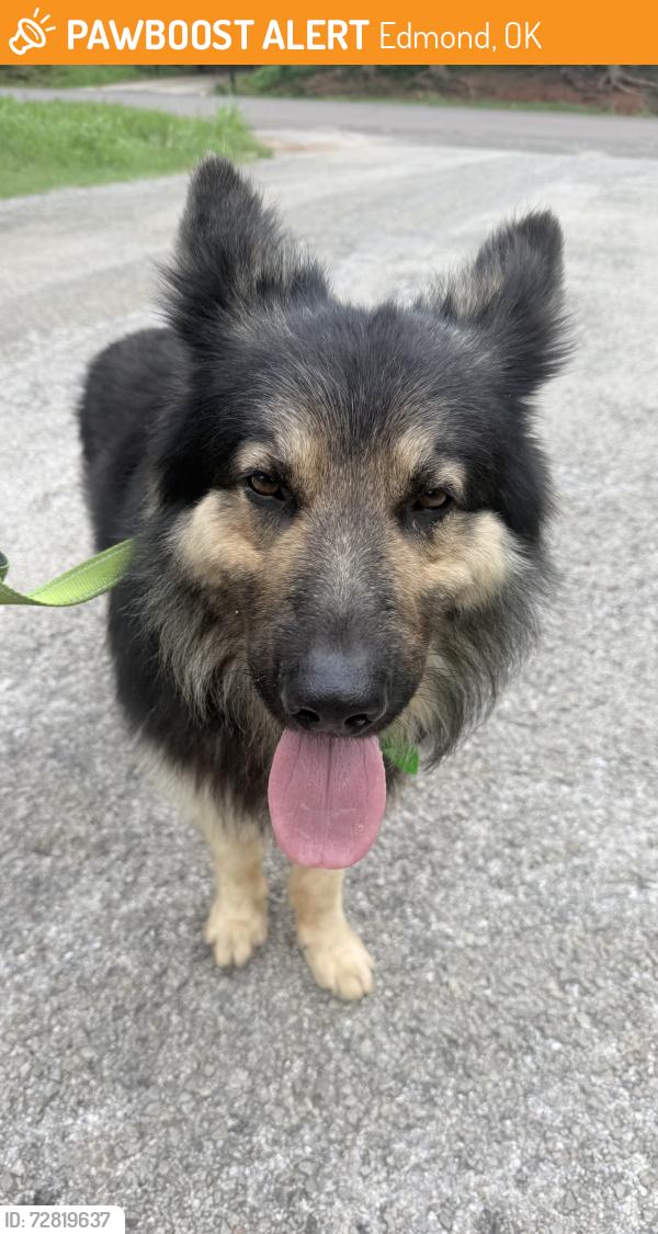 Found/Stray Male Dog last seen Waterloo and Sooner, Edmond, OK 73034