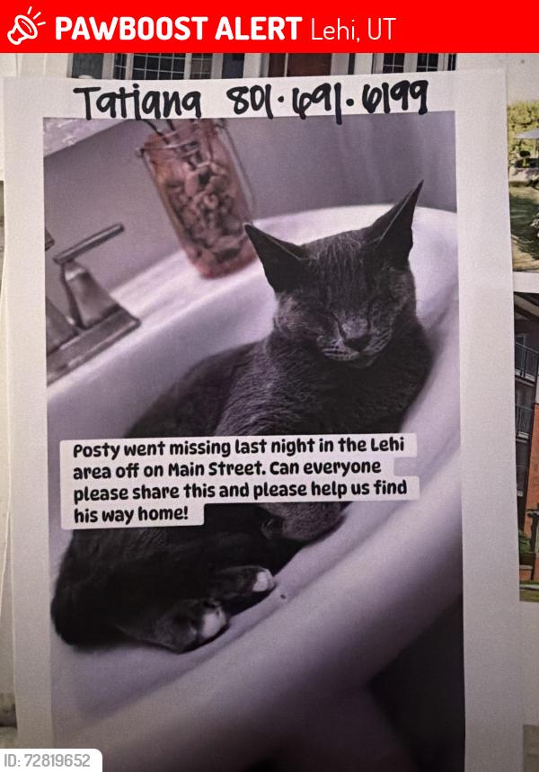 Lost Male Cat last seen Center street, Lehi, UT 84043
