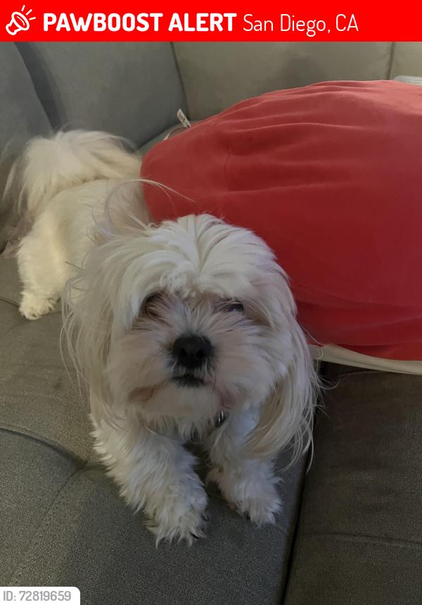 Lost Female Dog last seen Otay Mesa, San Diego, CA 92154