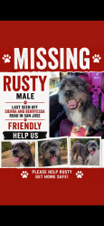 Lost Male Dog last seen Berryessa , San Jose, CA 95131