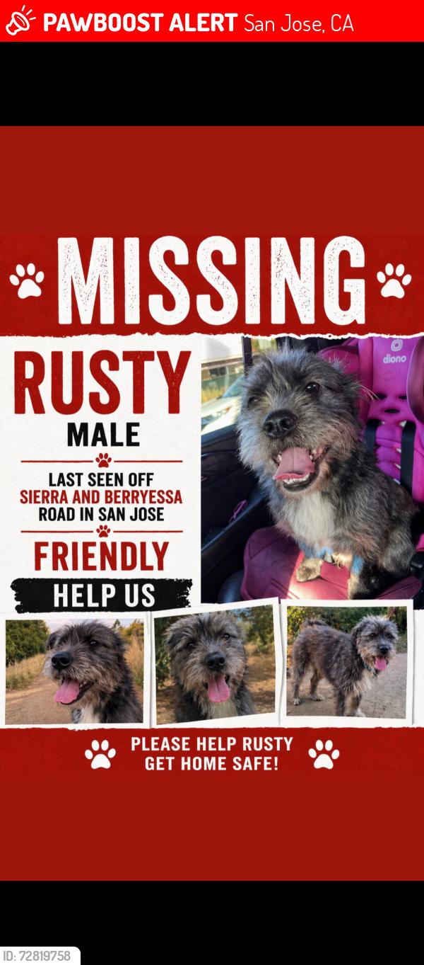 Lost Male Dog last seen Berryessa, San Jose, CA 95131