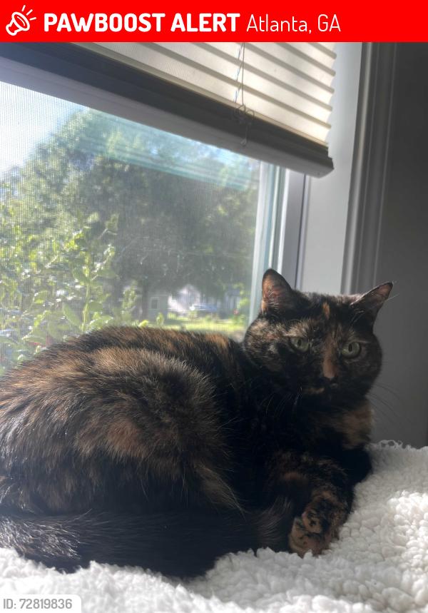 Lost Female Cat last seen Kenilworth and Avon Ave., Atlanta, GA 30310