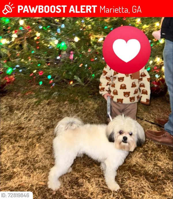 Lost Male Dog last seen Chuck Camp Park, Marietta, GA 30060