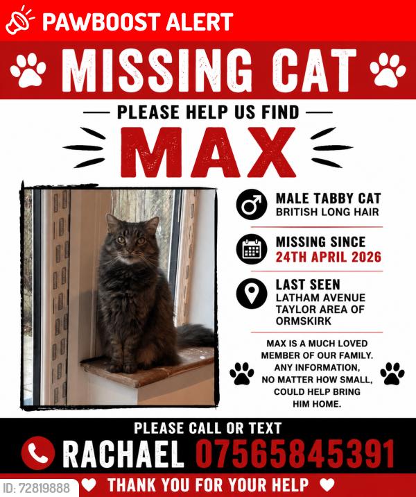 Lost Male Cat last seen Latham Avenue, Ormskirk School Area of Ormskirk , Lancashire, England L39