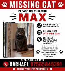 Lost Male Cat last seen Latham Avenue, Ormskirk School Area of Ormskirk , Lancashire, England L39