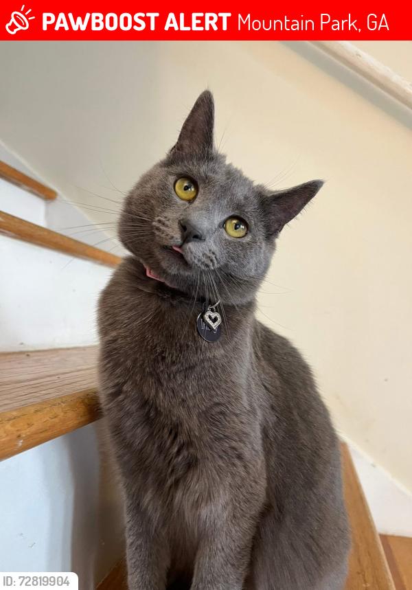 Lost Female Cat last seen Four winds neighborhood in Lilburn, GA, Mountain Park, GA 30047