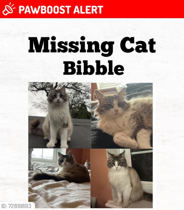 Lost Female Cat last seen Es Road / forest road / cross roads, Greater London, England RM7 8EX