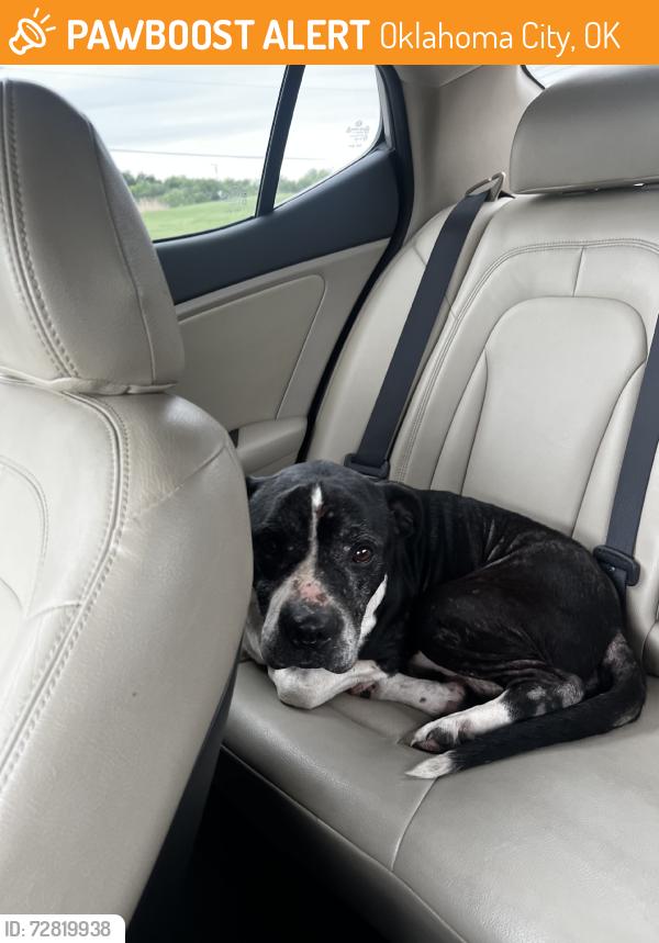 Found/Stray Male Dog last seen Off tinker diagonal limping, Oklahoma City, OK 73129