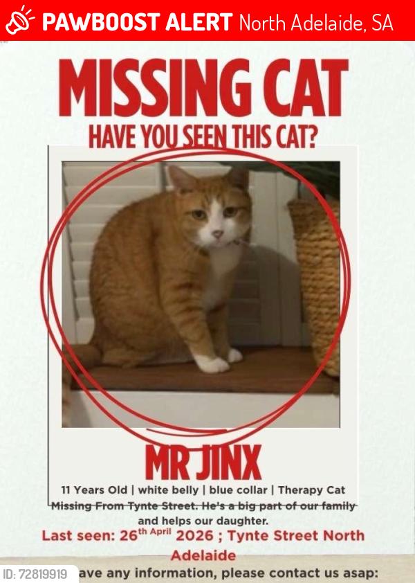 Lost Male Cat last seen 54-56 Tynte Street, North Adelaide, North Adelaide, SA 5006