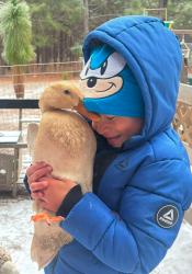 Lost Female Bird last seen Needmore and line road, Harnett County, NC 28326