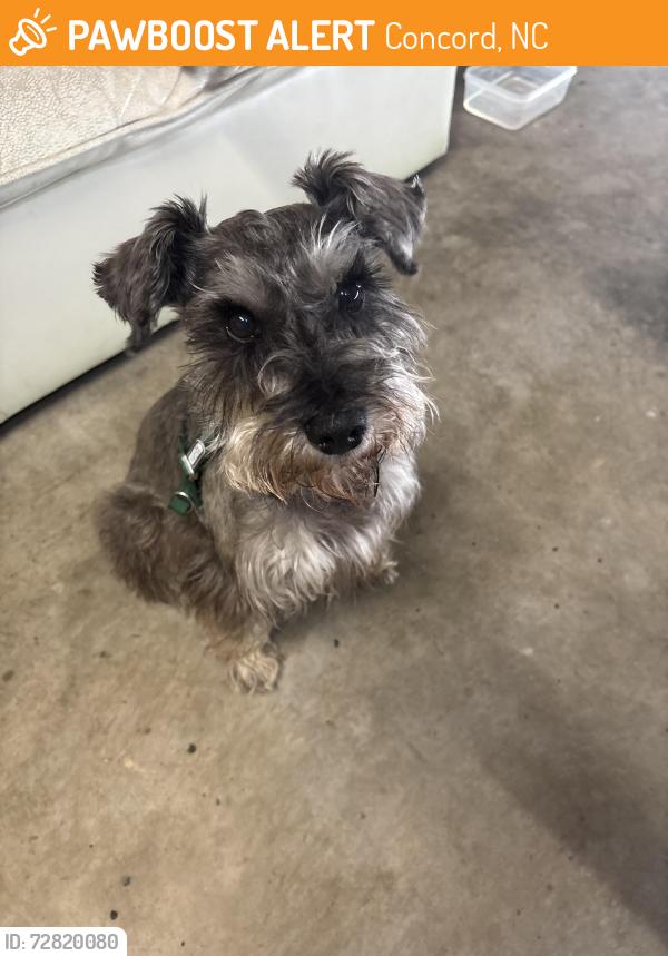 Found/Stray Male Dog last seen havenbrook , Concord, NC 28027
