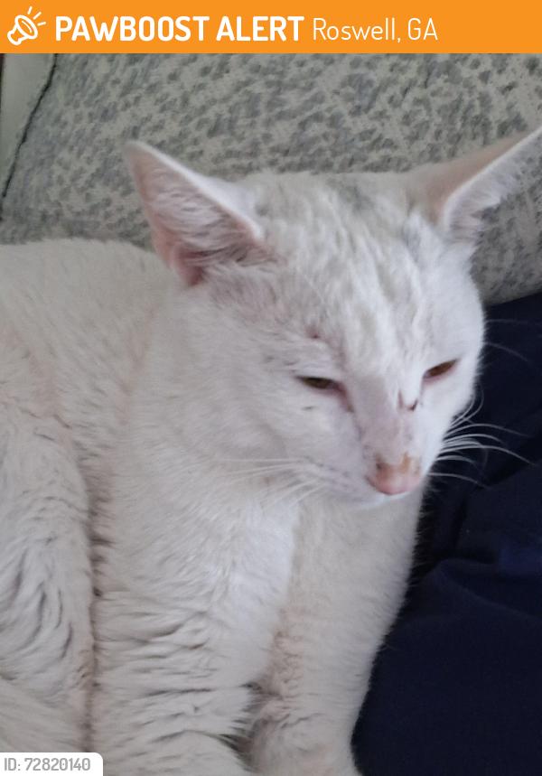Found/Stray Male Cat last seen North pond 30076 Martin's landing Roswell, Roswell, GA 30076