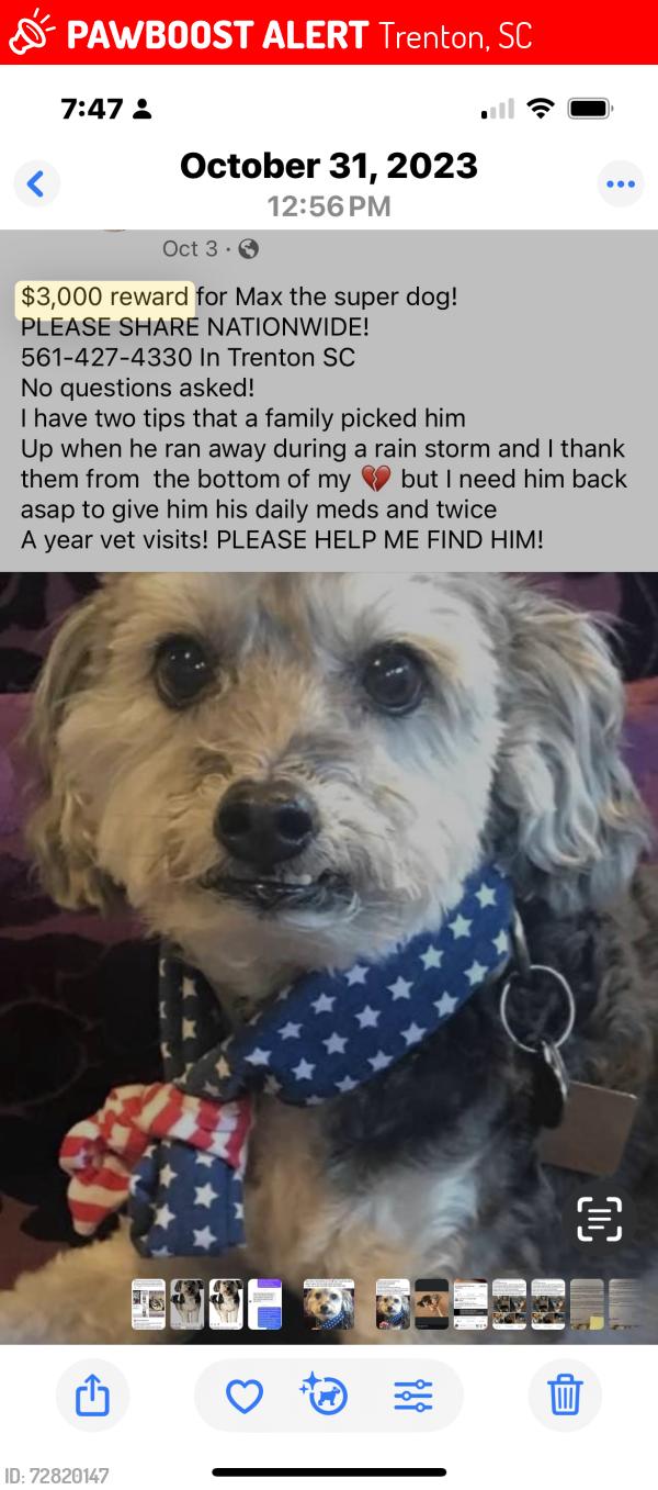 Lost Male Dog last seen Bettis Academy road , Trenton, SC 29847