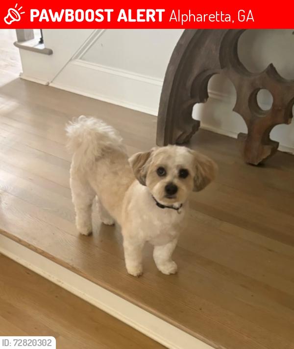 Lost Male Dog last seen Near Stonebrook Farms Dr Alpharetta, Ga 30004, Alpharetta, GA 30004