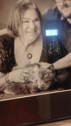 Lost Female Cat last seen Bottle Brush and Roce, Henderson, NV 89015