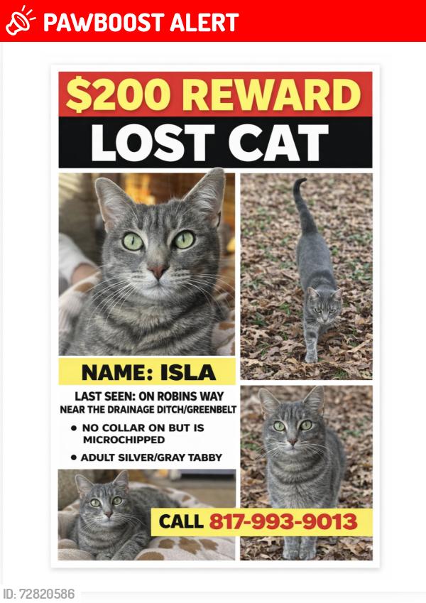 Lost Female Cat last seen Richland  high school, North Richland Hills, TX 76180