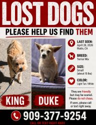 Lost Male Dog last seen Einshower School, Rialto, CA 92376