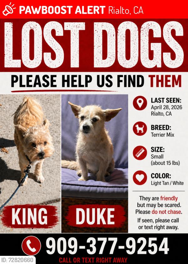 Lost Male Dog last seen Einshower School, Rialto, CA 92376