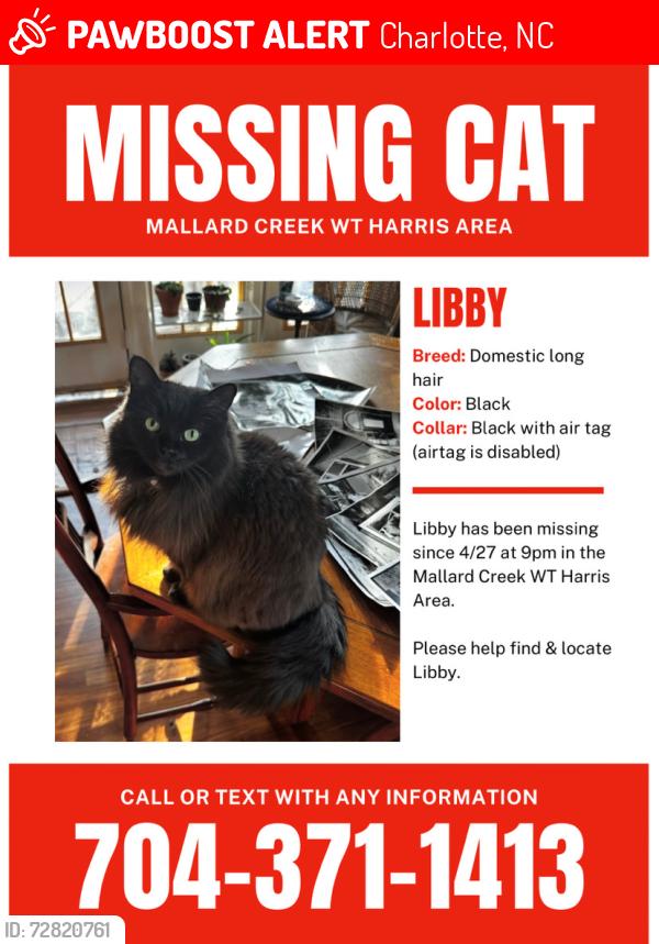 Lost Female Cat last seen Mallard Creek rd. WT Harris, Charlotte, NC 28269