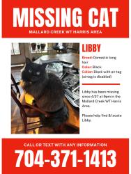 Lost Female Cat last seen Mallard Creek rd. WT Harris, Charlotte, NC 28269