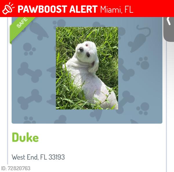 Lost Male Dog last seen Miller 162 Ave , Miami, FL 33193