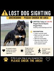 Found/Stray Unknown Dog last seen Walking the sidewalk off Pisgah Church Road right at Pisgah Place intersection. On the same side as Woodland Park apmts , Greensboro, NC 27455