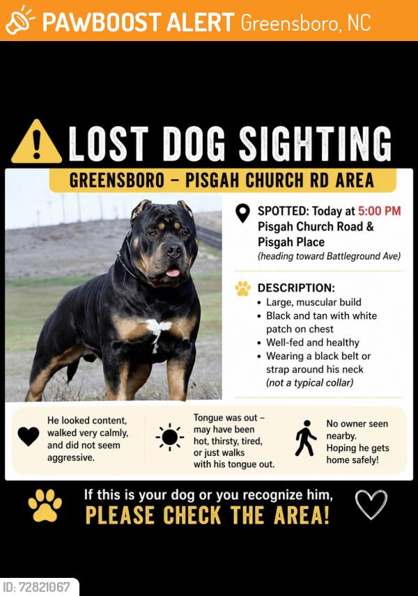 Found/Stray Unknown Dog last seen Walking the sidewalk off Pisgah Church Road right at Pisgah Place intersection. On the same side as Woodland Park apmts , Greensboro, NC 27455