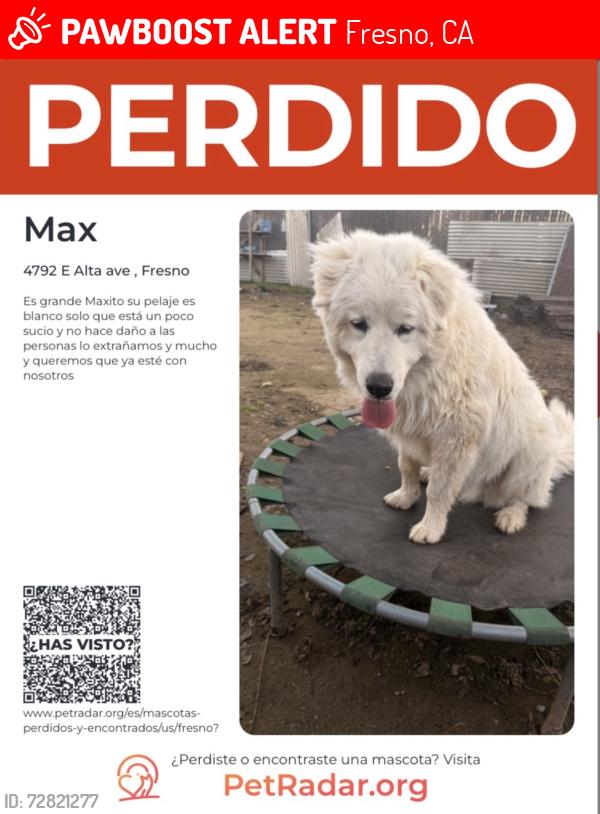 Lost Male Dog last seen Cesar Chávez y chesnut , Fresno, CA 93702