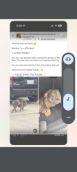 Lost Male Dog last seen Fifth ward , Houston, TX 77020