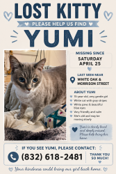 Lost Female Cat last seen White oak , Houston, TX 77009
