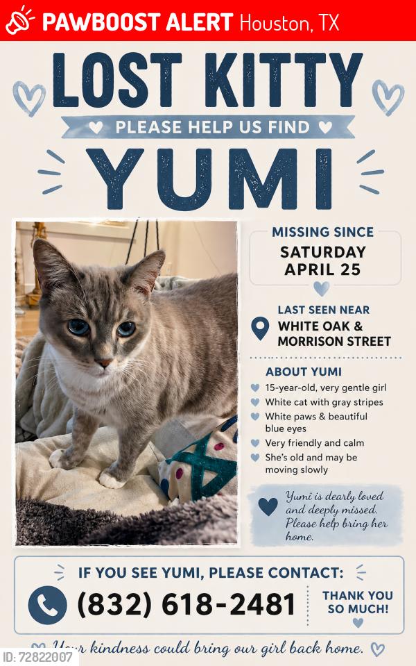 Lost Female Cat last seen White oak , Houston, TX 77009