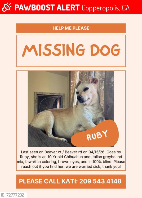 Lost Female Dog last seen Beaver road, Cheyenne road, Copperopolis, CA 95228