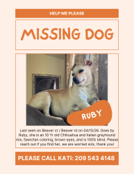 Lost Female Dog last seen Beaver road, Cheyenne road, Copperopolis, CA 95228