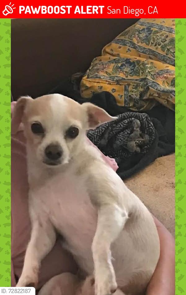 Lost Male Dog last seen Ocean view, imperial ave, S 35th st, S33rd st, San Diego, CA 92113