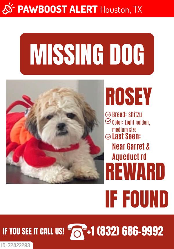 Lost Female Dog last seen On Aqueduct rd near Garrett rd, Houston, TX 77044