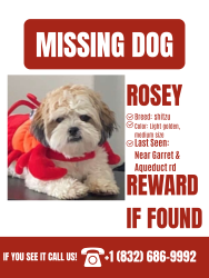 Lost Female Dog last seen On Aqueduct rd near Garrett rd, Houston, TX 77044