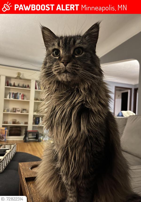 Lost Female Cat last seen 51st and 16th, Minneapolis, MN 55417
