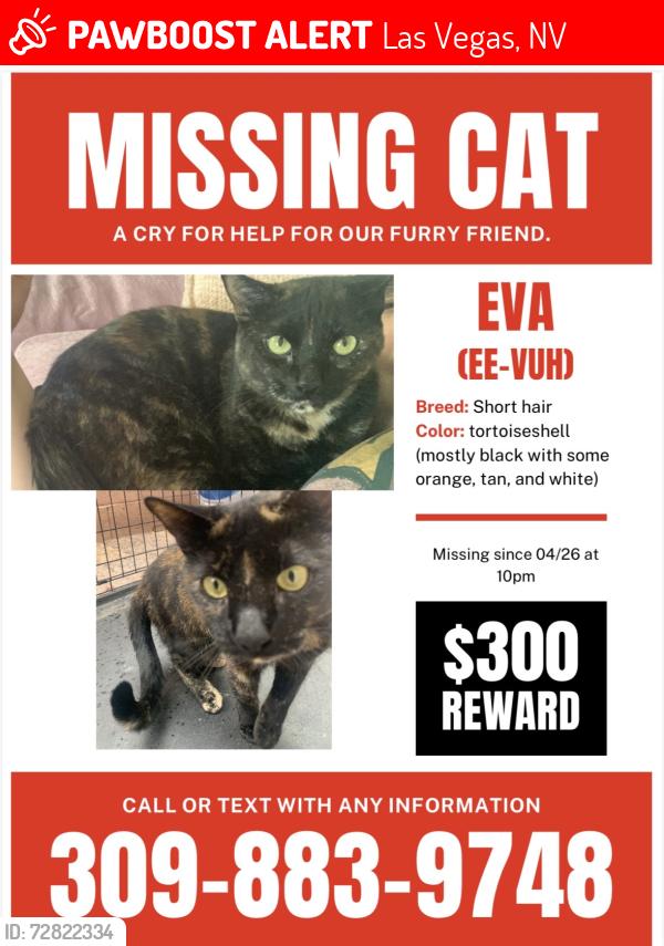 Lost Female Cat last seen Jones and Robindale , Las Vegas, NV 89139