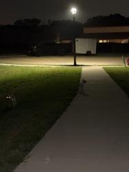 Found/Stray Unknown Dog last seen Meadowpark play area, Melissa, TX 75454