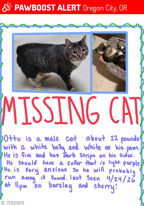 Lost Male Cat last seen Cherry, Oregon City, OR 97045