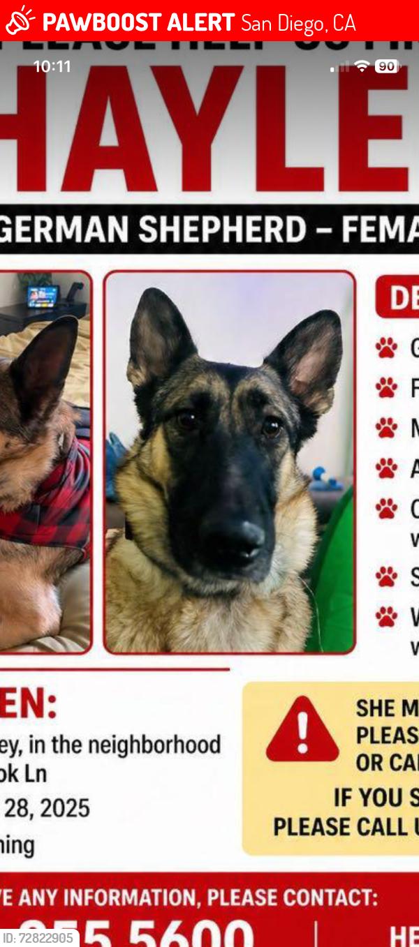 Lost Female Dog last seen Parkbrook Lane, San Diego, CA 92114
