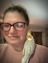 Lost Male Bird last seen Near iberis lane , Toms River, NJ 08753