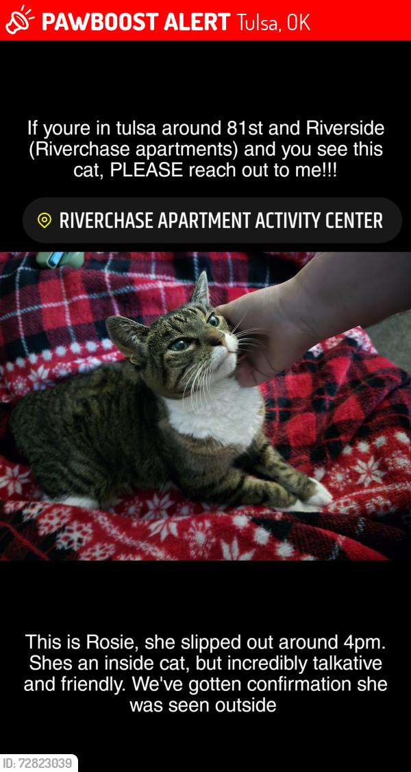 Lost Female Cat last seen Riverchase apmts, Tulsa, OK 74136