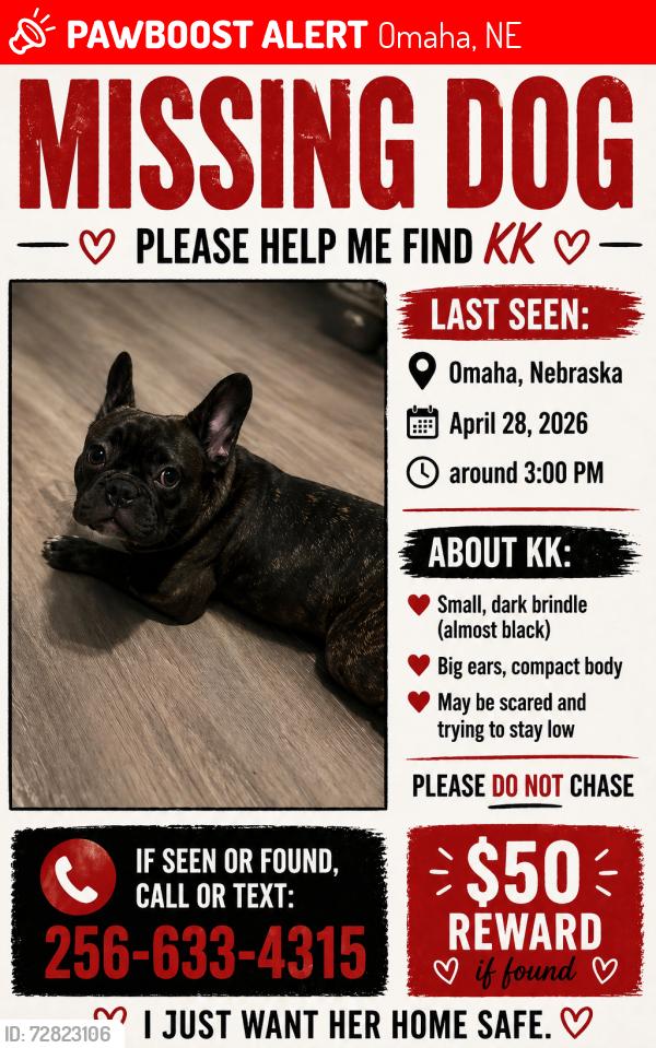 Lost Female Dog last seen Gas station on 40th and hamilton, Omaha, NE 68131