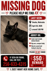Lost Female Dog last seen Gas station on 40th and hamilton, Omaha, NE 68131